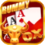 rummy wealth 51 bonus icon